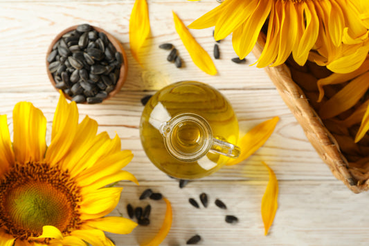 girasol-heliantus-annus-sanapeso